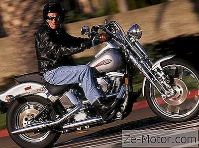 Impresia De Echitatie A Lui Harley-Davidson Fxsts 1  Springer Softail